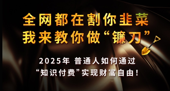 全网都在割你韭菜，我来教你做镰刀，2025年普通人如何通过 知识付费 实现财F自由【揭秘】-多金网赚