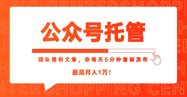 【公众号托管 】我提供文章，你每天５分钟复制发布，最高月入1W-多金网赚