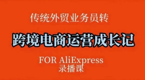 跨境电商速卖通运营课，​运营方法论+后台实操，逻辑清晰-多金网赚