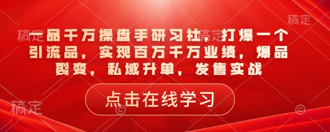 一品千万操盘手研习社，打爆一个引流品，实现百万千万业绩，爆品裂变，私域升单，发售实战-多金网赚