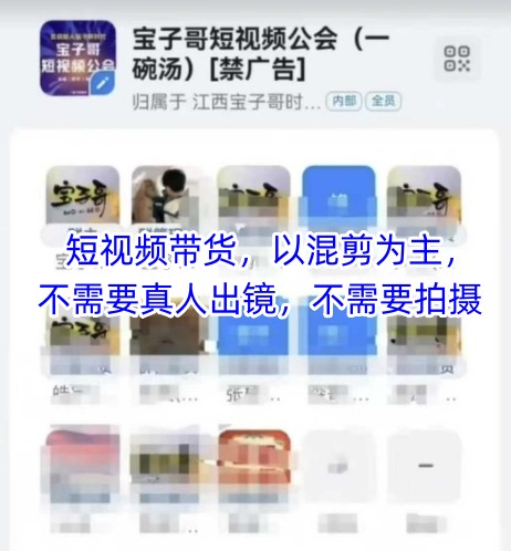 宝子哥头部团队短视频带货，以混剪为主，不需要真人出镜，不需要拍摄-多金网赚网