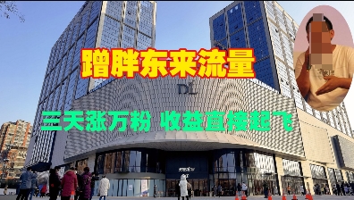蹭胖东来流量，三天涨万粉，收益直接起飞-多金网赚