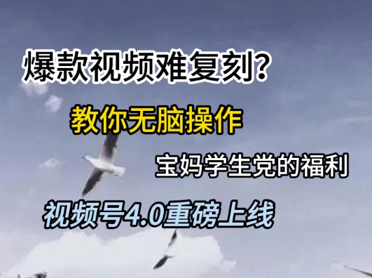 视频号4.0重磅上线，爆款视频难复刻？教你无脑操作宝妈学生党的福利【揭秘】-多金网赚