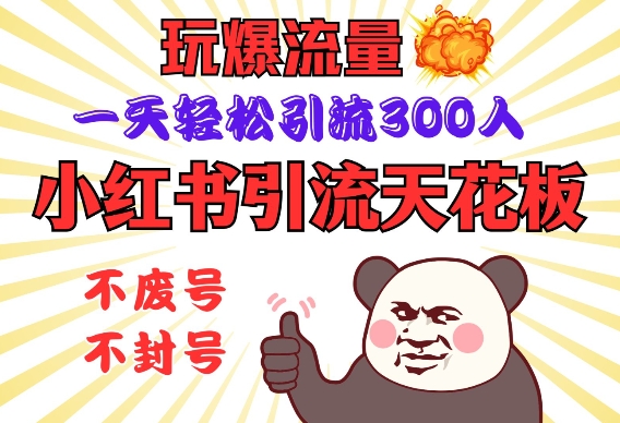 小红书引流天花板，玩爆流量，一天轻松引流300人，安全操作-多金网赚