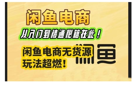 闲鱼电商实战课，从入门到精通秘籍在此，闲鱼电商无货源玩法超燃!-多金网赚
