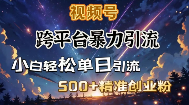 跨平台暴力引流，私域完美闭环，日引500+精准创业粉-多金网赚