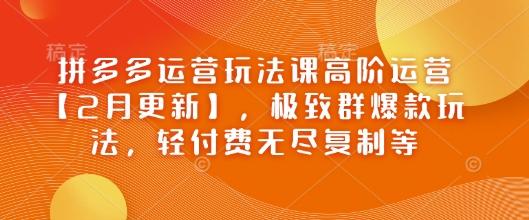 拼多多运营玩法课高阶运营【2月更新】，极致群爆款玩法，轻付费无尽复制等-多金网赚