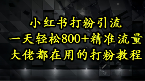 小红书打粉引流，一天轻松500+精准流量，大佬都在用的打粉教程-多金网赚网