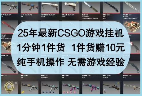 25年最新CSGO游戏挂G，1分钟1件货，1件货挣10元，纯手机操作，无需游戏经验【揭秘】-多金网赚