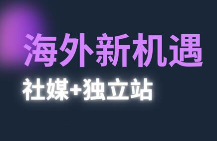 棕榈·2025出海新机遇(社媒+独立站)-多金网赚网