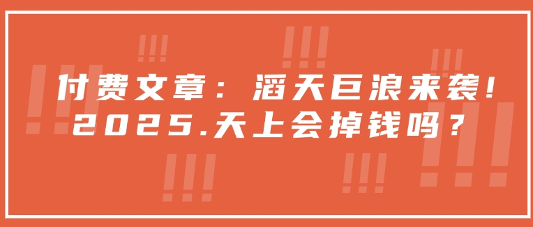 付费文章：滔天巨浪来袭！2025天上会掉钱吗？-多金网赚