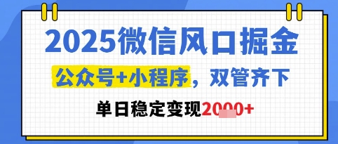 2025微信风口掘金，公众号+小程序双管齐下，单日稳定变现1k+【揭秘】-多金网赚