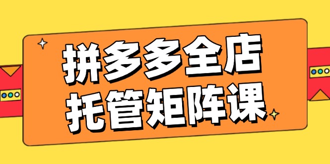 拼多多全店托管矩阵课，盈利动销玩法，高效计划设置，提升店铺效益-多金网赚