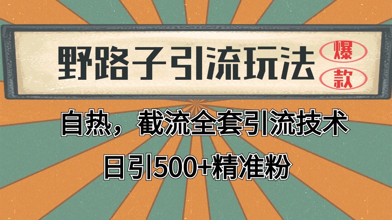 2024首发野路子引流玩法截流自热全平台打法，全自动引流【日引2000+精准客户】-多金网赚