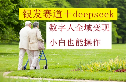 银发赛道+deepseek数字人全域变现，小白也能操作-多金网赚网