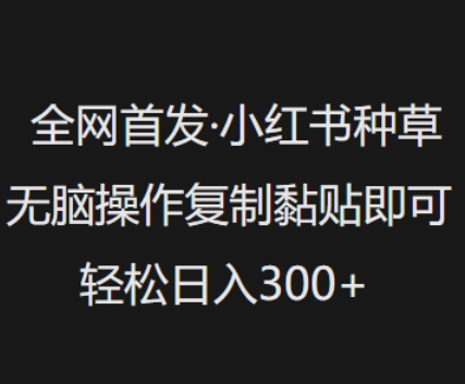 全网首发，小红书种草无脑操作，复制黏贴即可，轻松日入3张-多金网赚