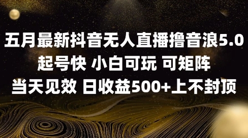 2025五月最新无人直播撸音浪单日产出5张+实操教程【揭秘】-多金网赚