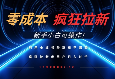 利用小红书种草知乎漏洞，零成本疯狂拉新日入数张，新手小白可操作-多金网赚网