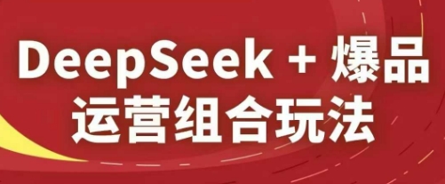 DeepSeek+爆品运营组合玩法，2025淘系精品课-多金网赚网