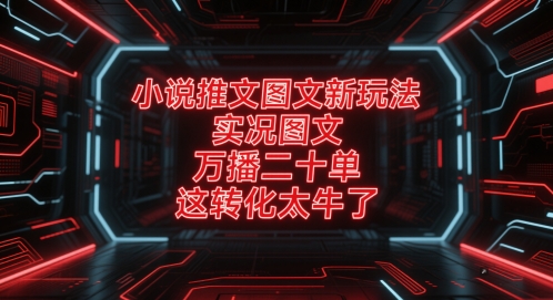 小说推文图文新玩法，实况图文，万播二十单，这转化太牛了！-多金网赚
