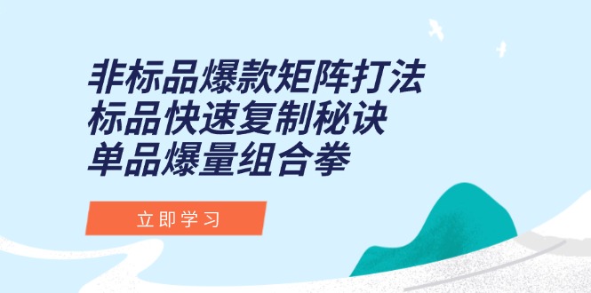 非标品爆款矩阵打法，标品快速复制秘诀，单品爆量组合拳-多金网赚
