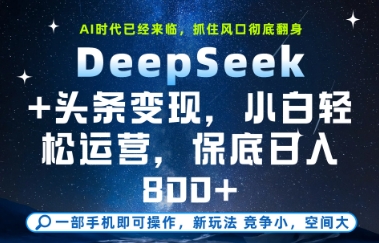 DeepSeek+头条变现，保姆级教学，小白轻松上手，日入8张+【揭秘】-多金网赚