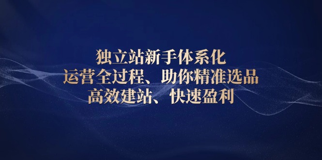 独立站新手体系化 运营全过程，助你精准选品、高效建站、快速盈利-多金网赚