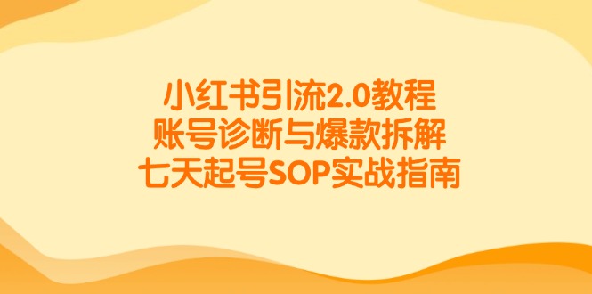 小红书引流2.0教程，账号诊断与爆款拆解，七天起号SOP实战指南-多金网赚