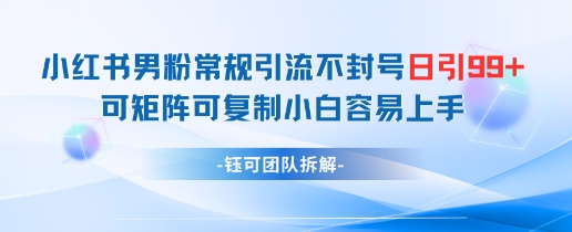 小红书男粉常规引流不封号日引99+变现简单 可矩阵可复制小白容易上手-多金网赚网