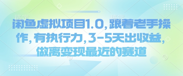 闲鱼虚拟项目1.0，跟着老手操作，有执行力，3-5天出收益，做离变现最近的赛道-多金网赚
