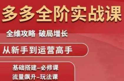 拼多多全阶实战课程，全维攻略，破局增长，从新手到运营高手-多金网赚