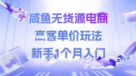咸鱼无货源电商，高客单价玩法，新手1个月入门-多金网赚
