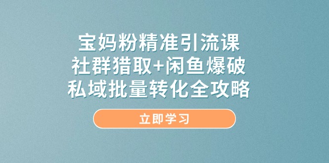 宝妈粉精准引流课，社群猎取+闲鱼爆破，私域批量转化全攻略-多金网赚网