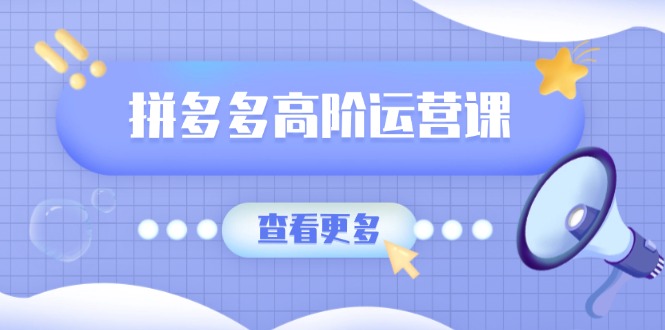 拼多多高阶运营课：极致群爆款玩法，轻付费无尽复制，打造单品爆款之路-多金网赚