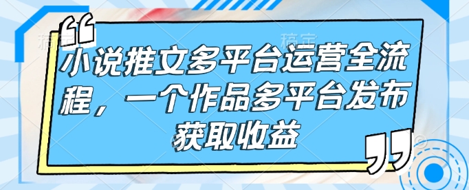 小说推文多平台运营全流程，一个作品多平台发布获取收益-多金网赚