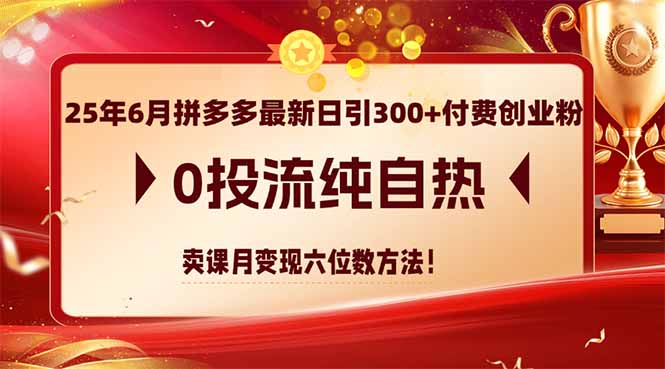25年6月拼多多最新日引300+付费创业粉，0投流纯自热 卖课月变现六位数方法-多金网赚