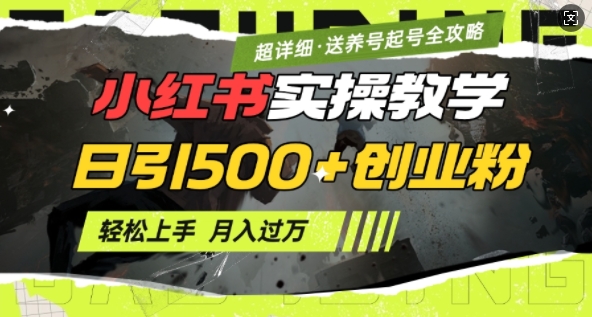 2月小红书最新日引500+创业粉实操教学【超详细】小白轻松上手，月入1W+，附小红书养号起号SOP-多金网赚