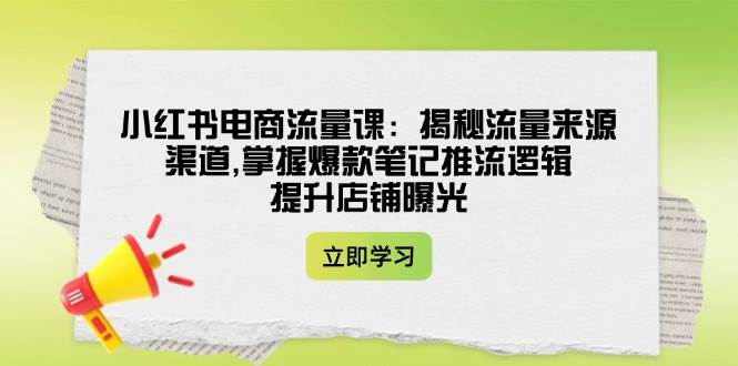 小红书电商流量课：揭秘流量来源渠道,掌握爆款笔记推流逻辑,提升店铺曝光-多金网赚