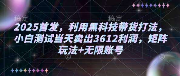 2025首发，利用黑科技带货打法，小白测试当天卖出3612利润，矩阵玩法+无限账号【揭秘】-多金网赚