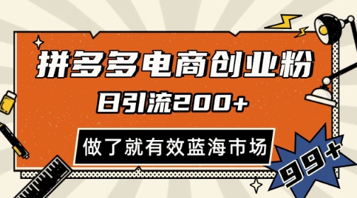 拼多多引流电商创业粉，日引200+，可矩阵放大，做了就有效【揭秘】-多金网赚