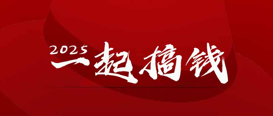 2025年，请“不择手段”去搞钱!-多金网赚网