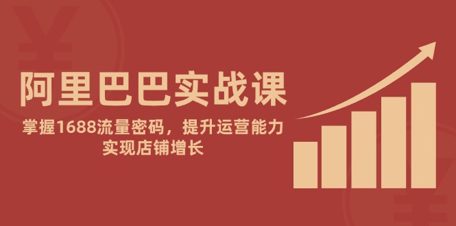 阿里巴巴实战课：掌握1688流量密码，提升运营能力，实现店铺增长-多金网赚