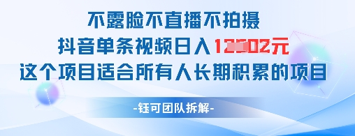 不露脸不直播不拍摄抖音单条视频日入1k+这个项目适合所有人长期积累的项目-多金网赚网